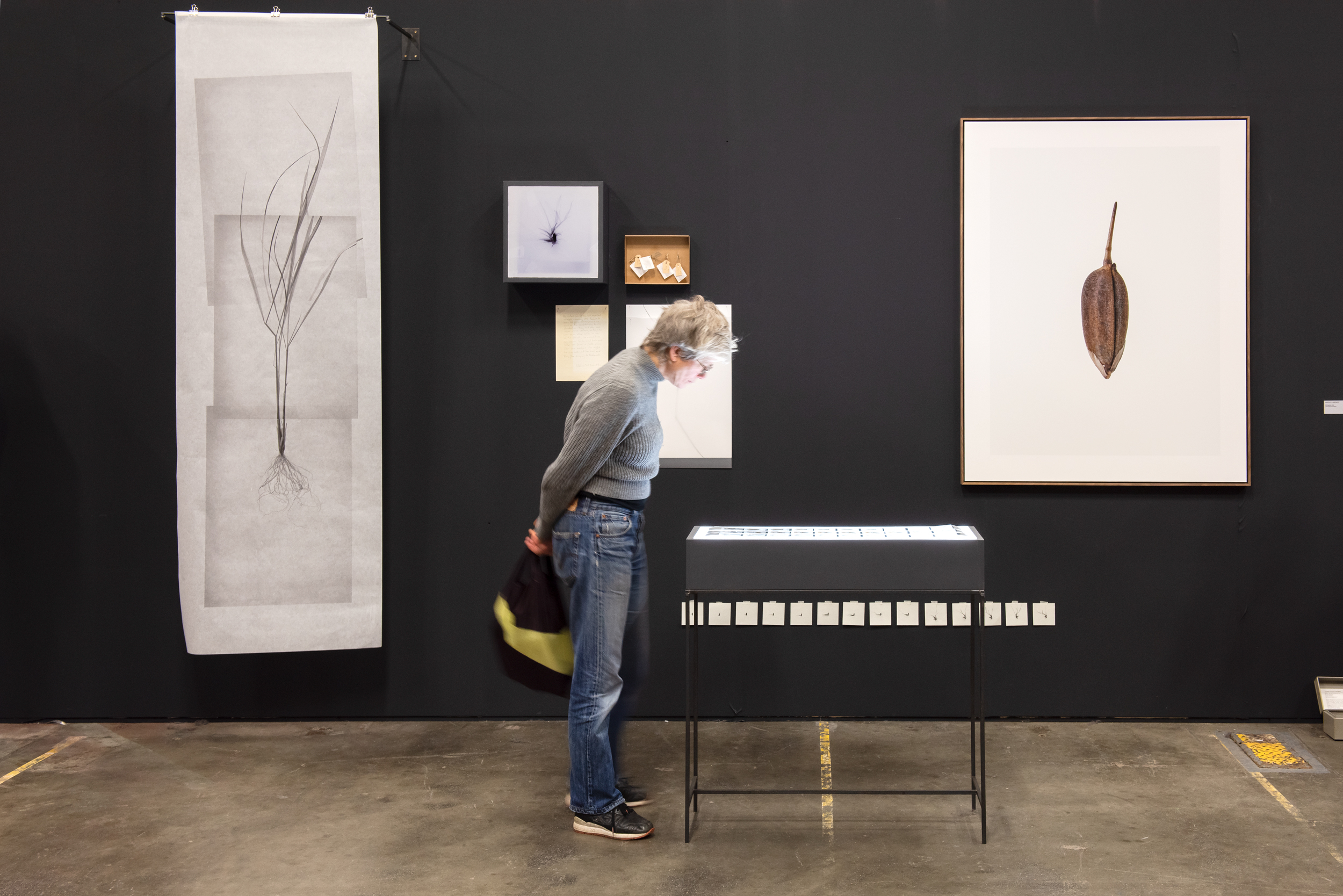 Art Rotterdam 2020