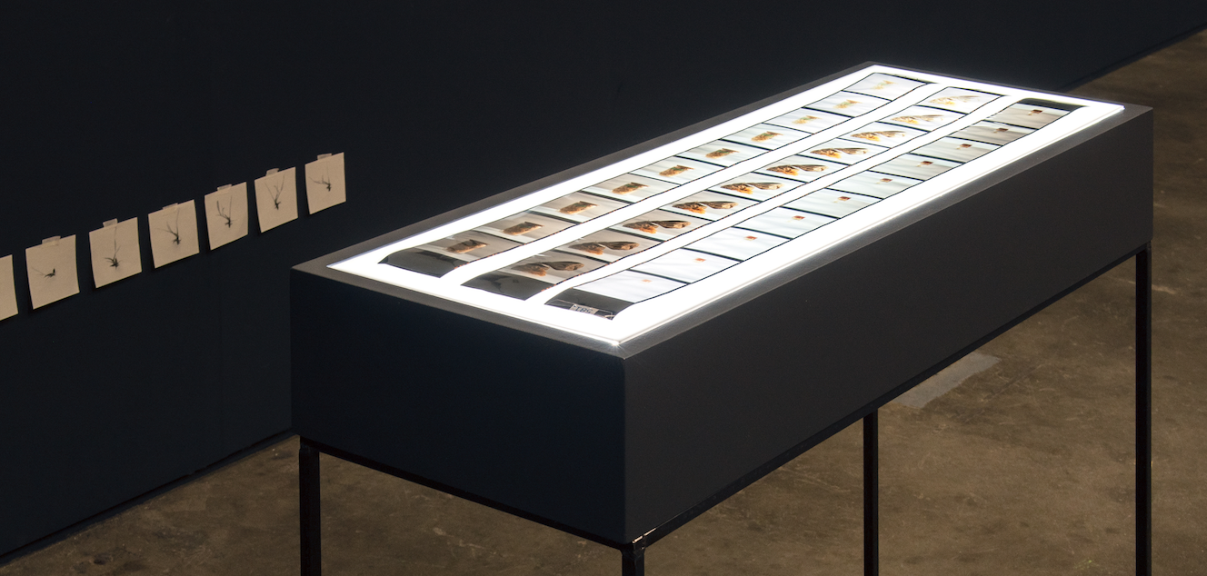 Art Rotterdam 2020