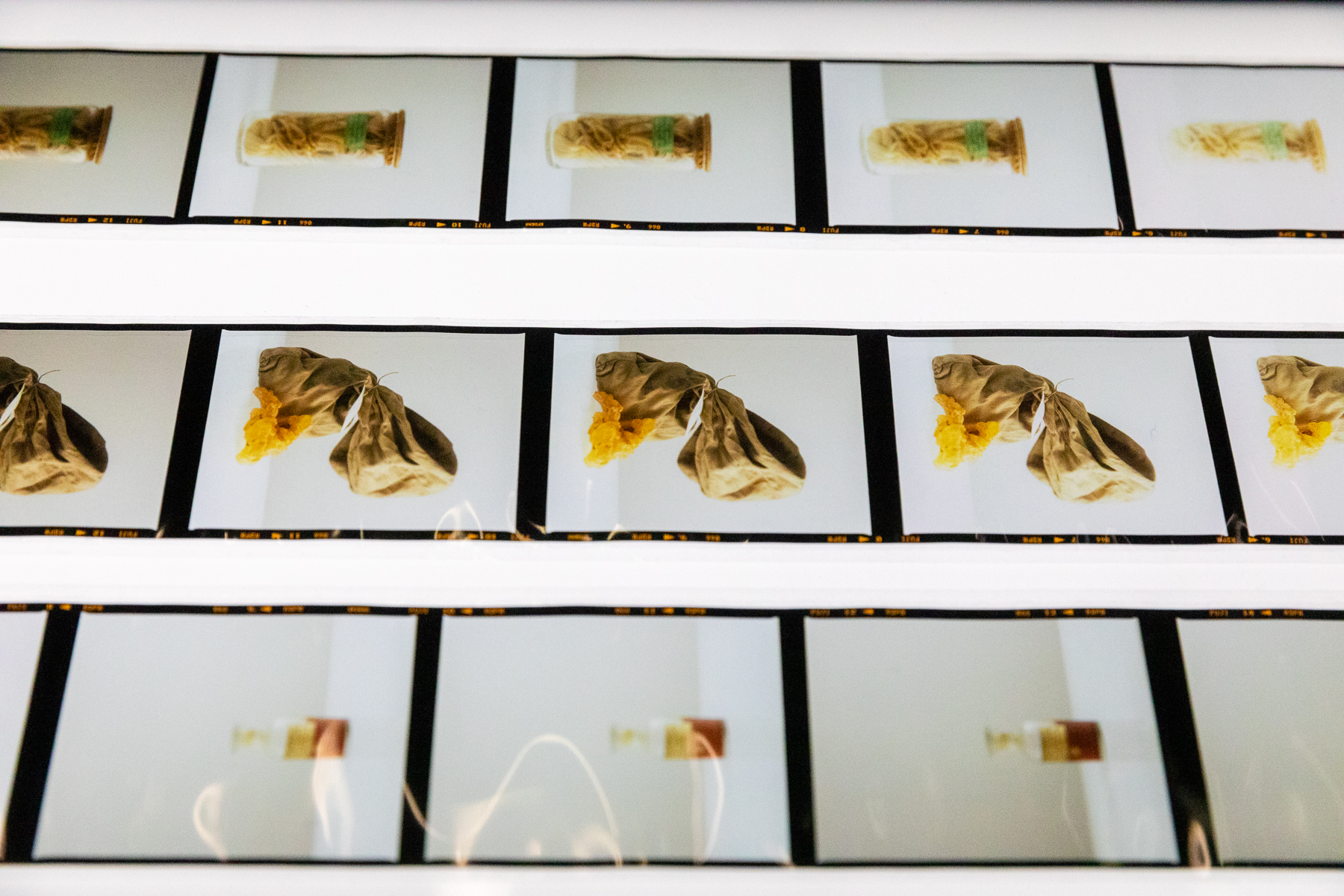Dia's Naturalis, Art Rotterdam 2020