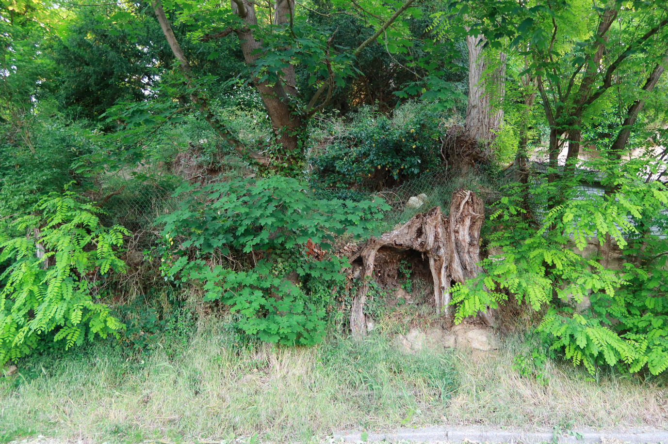 Rue Daubigny 15 may 2020: De staat van de heuvelrand in Auvers-sur-Oise op 15 mei 2020, ©arthénon