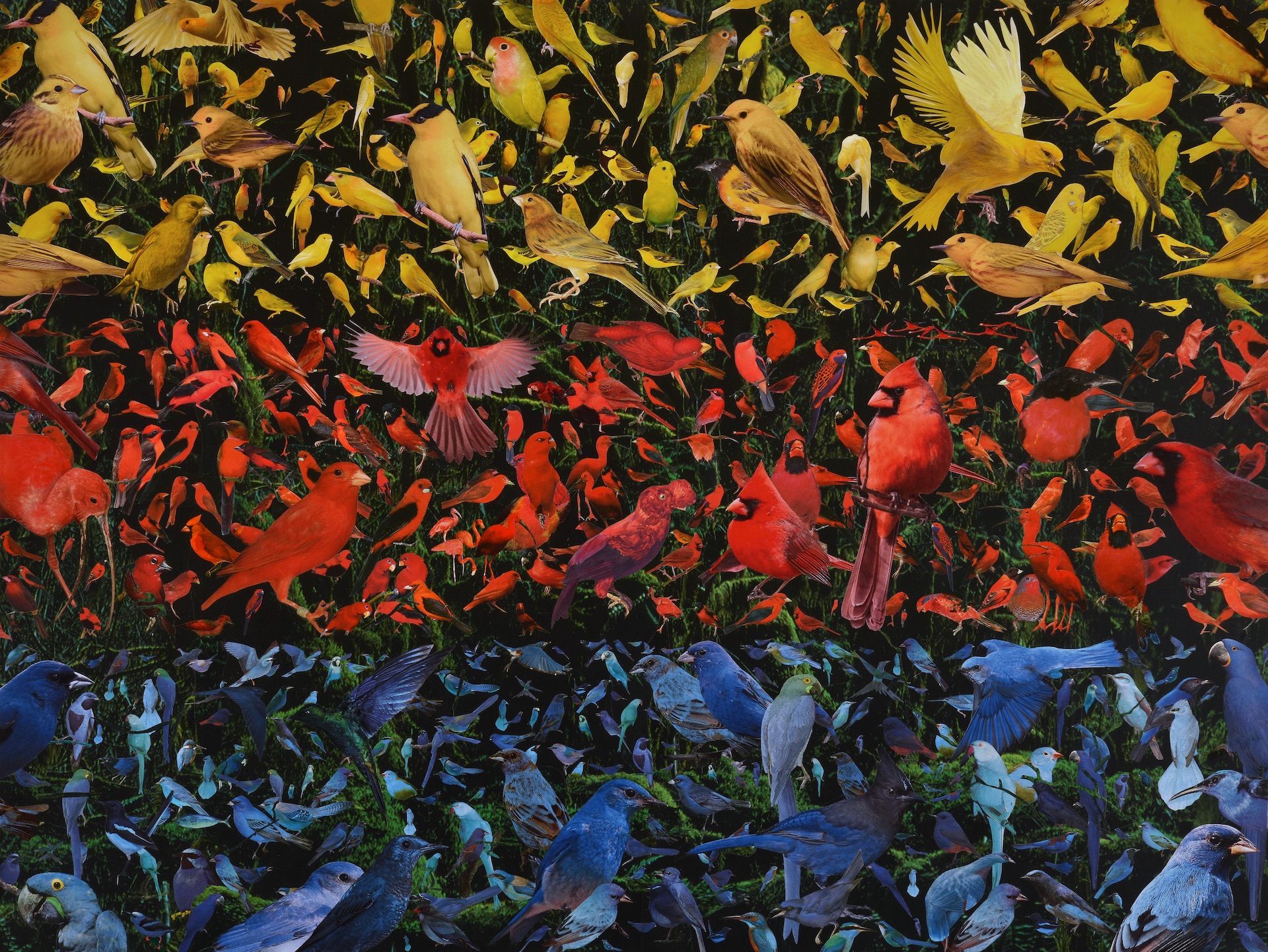 'Summer' (detail), 120 x 90 cm. Collage/mixed media. 2021. Collectie kunstenaar