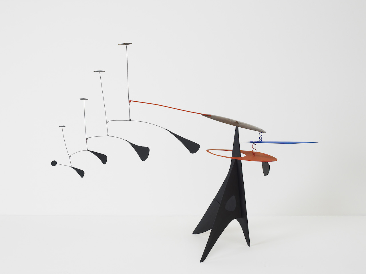 Alexander Calder Blue Feather, ca. 1948. Photo: Stephen White, © 2021 Calder Foundation, New York/Artists Rights Society (ARS), New York/Pictoright, Amsterdam
