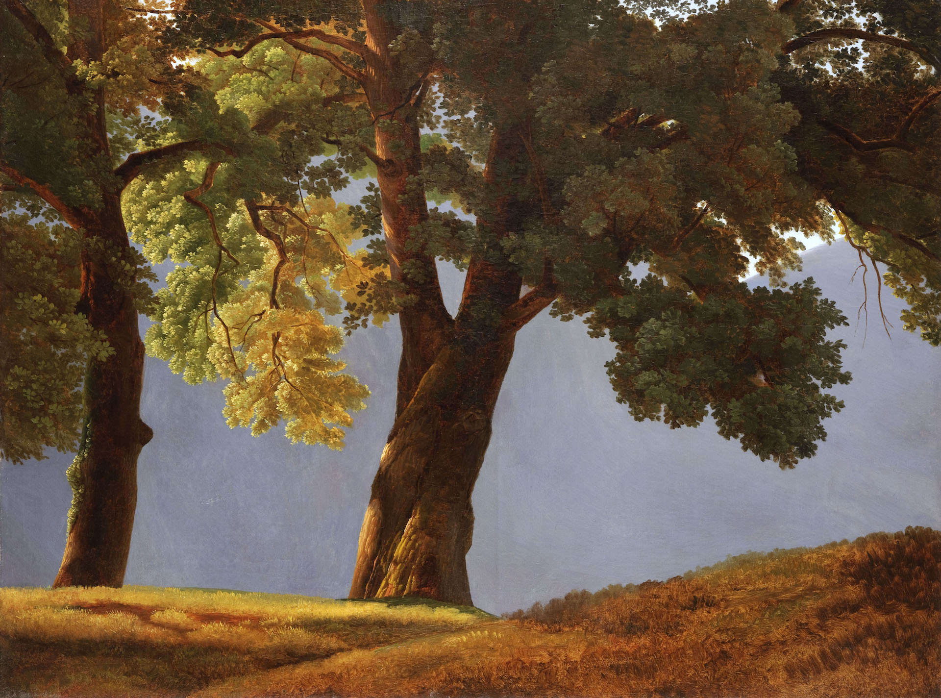 Simon Denis (Antwerpen 1755 – 1813 Napels), Bomen voor een vallei. Olieverf op canvas. – 68,8 x 91,1 cm. Fondation Custodia, Collectie Frits Lugt, Parijs, inv. 2017-S.18