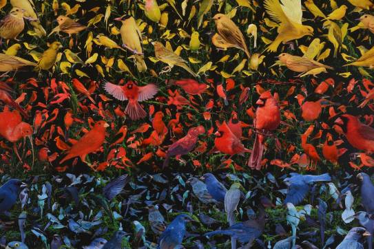'Summer', 120 x 90 cm. Collage/mixed media. 2021. Collection artist