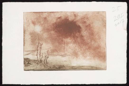 Frans Pannekoek, Pantano I, 2017, Fondation Custodia - Collectie Frits Lugt, Parijs