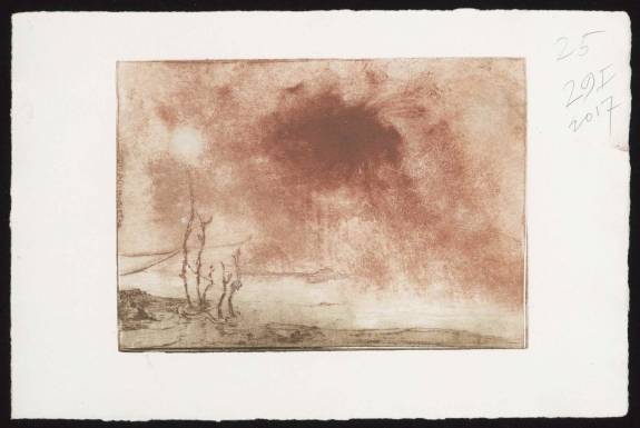 Frans Pannekoek, Pantano I, 2017, Fondation Custodia - Collectie Frits Lugt, Parijs